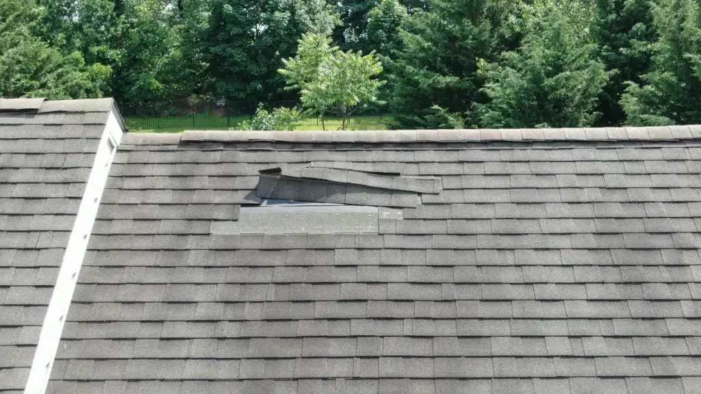 Damaged shingles on roof
