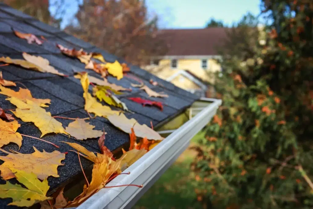 Autumn leaves fallen on rooftop.
