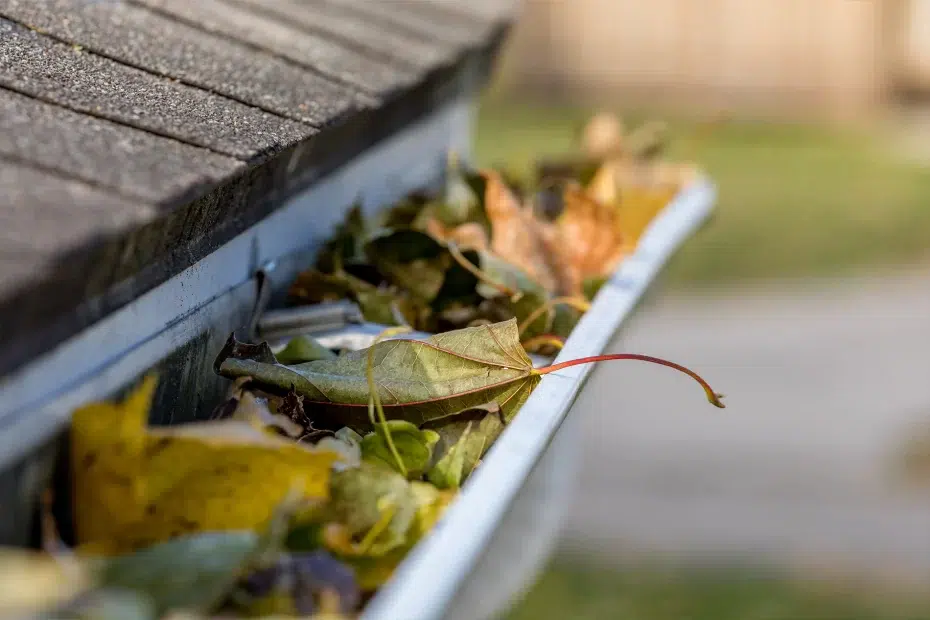 Gutter Maintenance and Cleaning