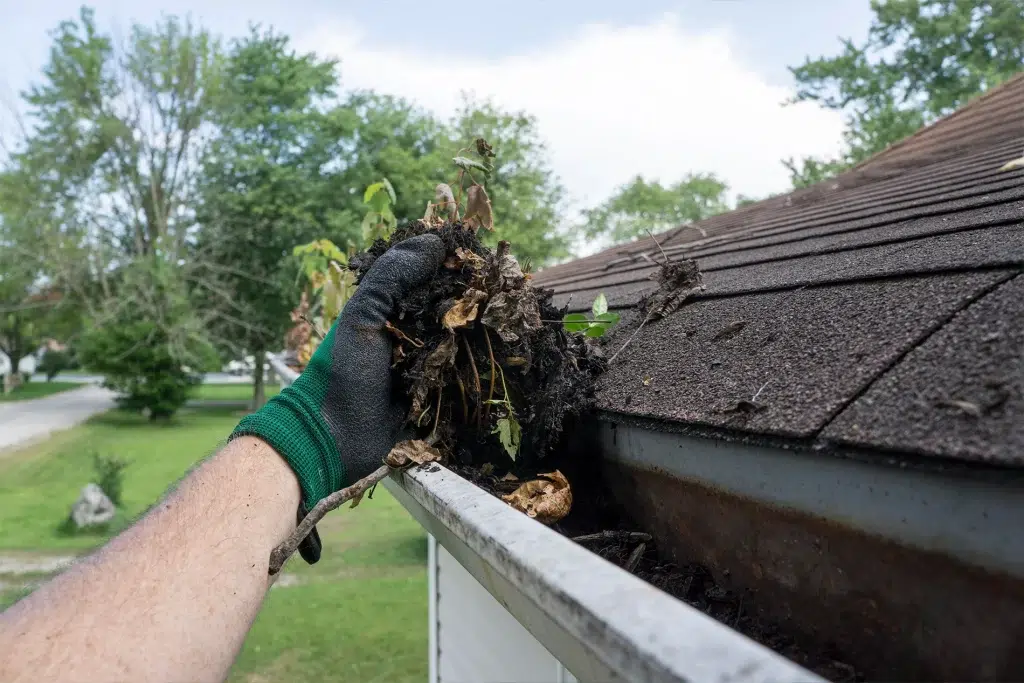 Gutter Maintenance Tips