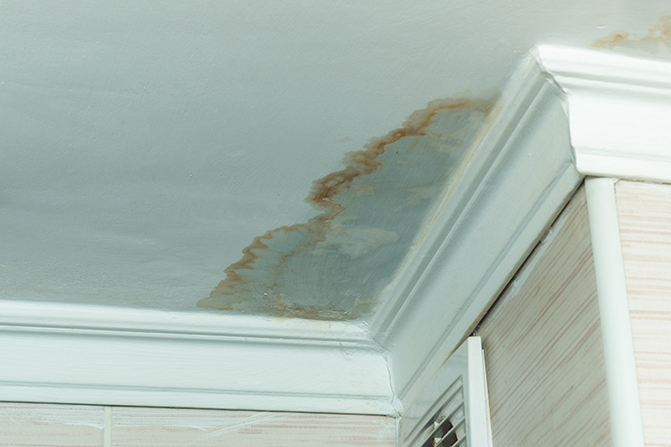 9 Tips to Fixing a Leaky Roof